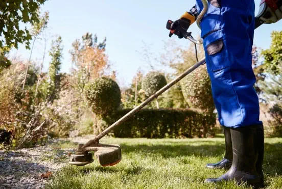 Débroussaillage et défrichage de terrains à Brest - Nettoyage professionnel d'espaces verts et obligation légale OLD